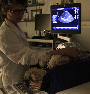 Diagnostic Ultrasound Photo